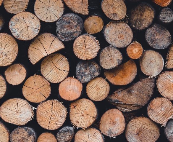 logs-of-wood-stacked Picture of logs of wood in a pattern