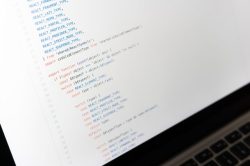 React Developer
