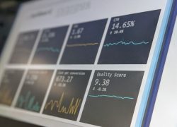 Database Analyst